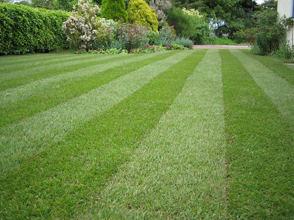 Tree Lawn Landscaping Maintenance, Landscaping Company Miami