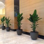 IMG_1574-e1446834043362