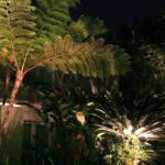 Landscape-Lighting-increases-the-value-of-your-Tampa-Bay-home