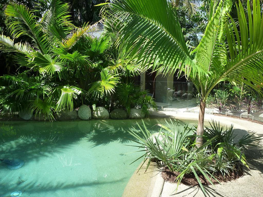 Tropical Landscape Design Services in Miami, FL | Plant Professionals