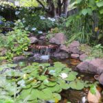 garden-water-fountain-20141107123433-545cbc592e833