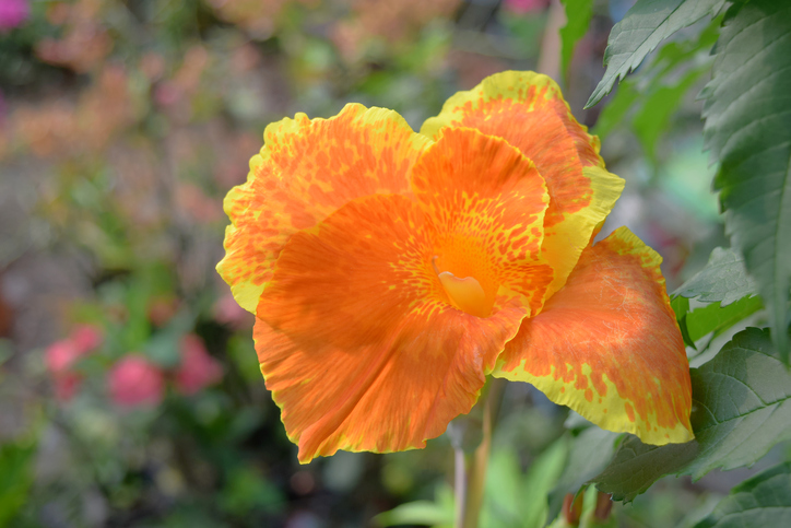 GettyImages 625675136