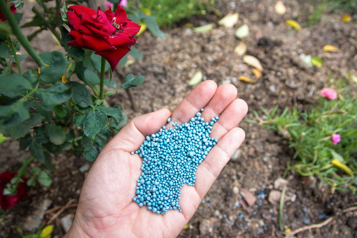 Successful Tips For Plant Upkeep - Plant Nutrition and Fertilizers
