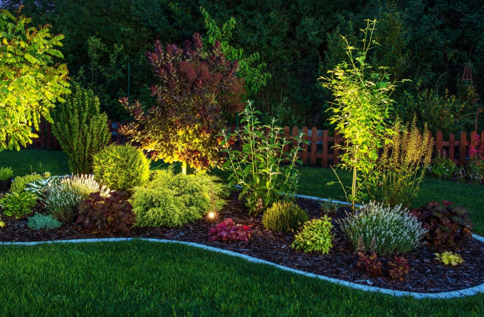 make-your-yard-stand-out-with-landscape-lighting
