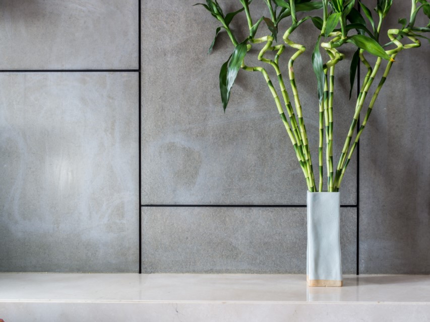 spruce up your home or workplace with these interior plants