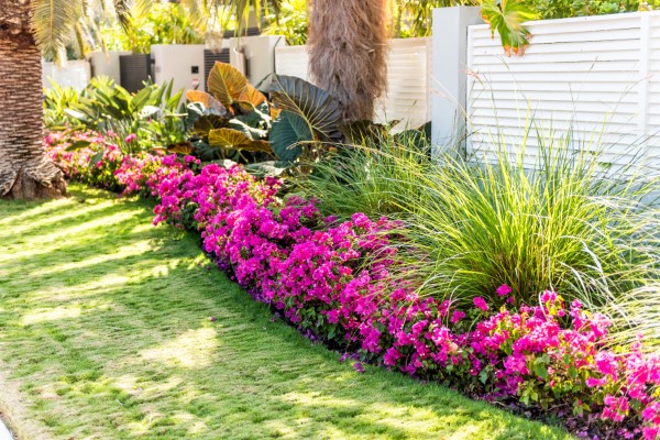 7-tips-for-maintaining-your-landscape-near-miami