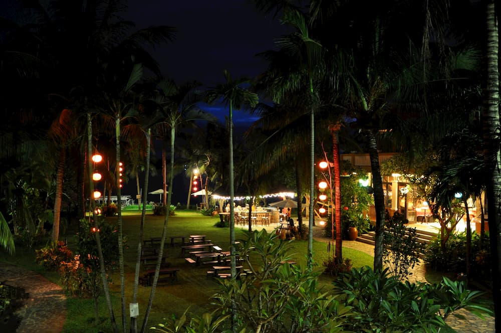 tree light night restaurant evening jungle 68770 pxhere.com 1