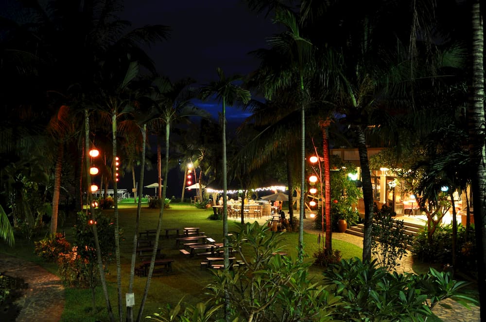 Landscape lights illuminating a yard in southern Florida