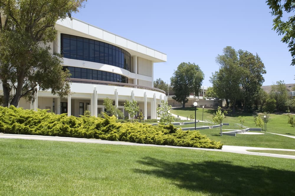 commercial business landscaping