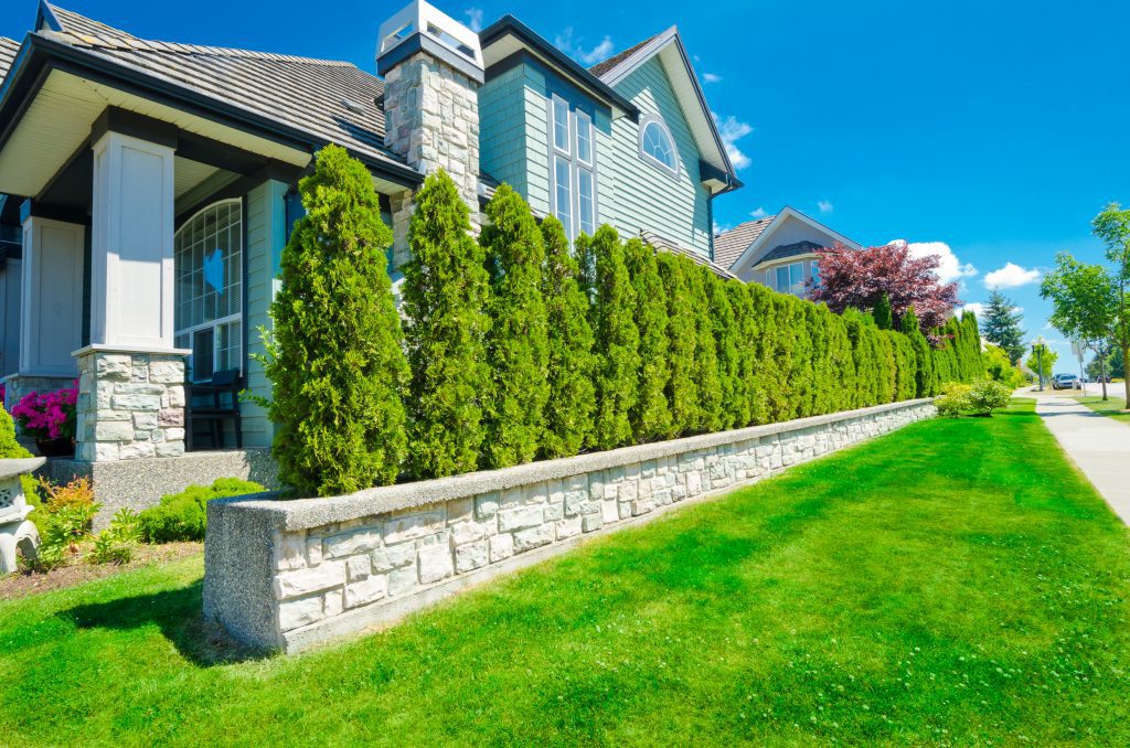 landscaping ideas for privacy
